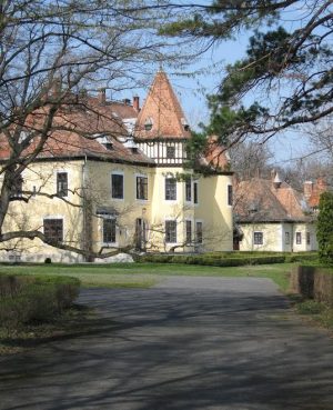 KIADÓ Sárszentmiyályon a ZICHY-KASTÉLY birtokon neogót stílusban épült ingatlan